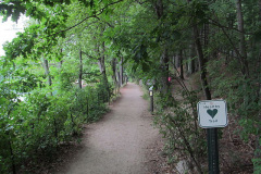 Walden-Pond-Trail