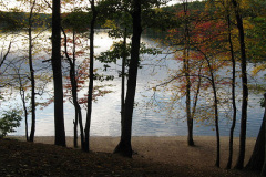 Walden-Pond-in-October